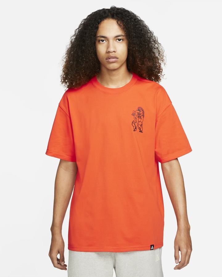 Camiseta Nike ACG 