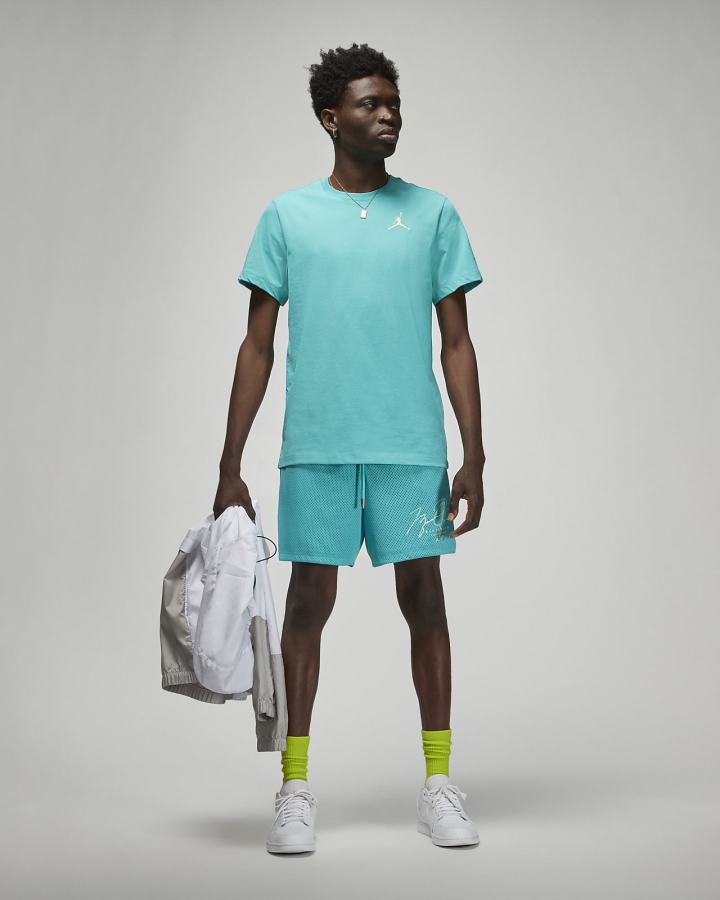 Camiseta Nike Jordan Jumpman Short-Sleeve Hombre Turquesa | JYQKG-5809