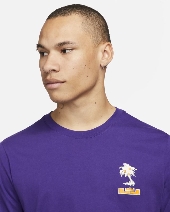 Camiseta Nike LeBron SFG Long-Sleeve Hombre Moradas | UBZOS-9741