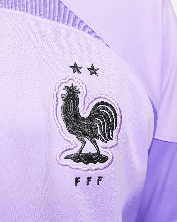 Jersey Nike FFF 2022/23 Stadium Goalkeeper Dri-FIT Short-Sleeve Soccer Hombre Moradas Negras | FLANH-1694