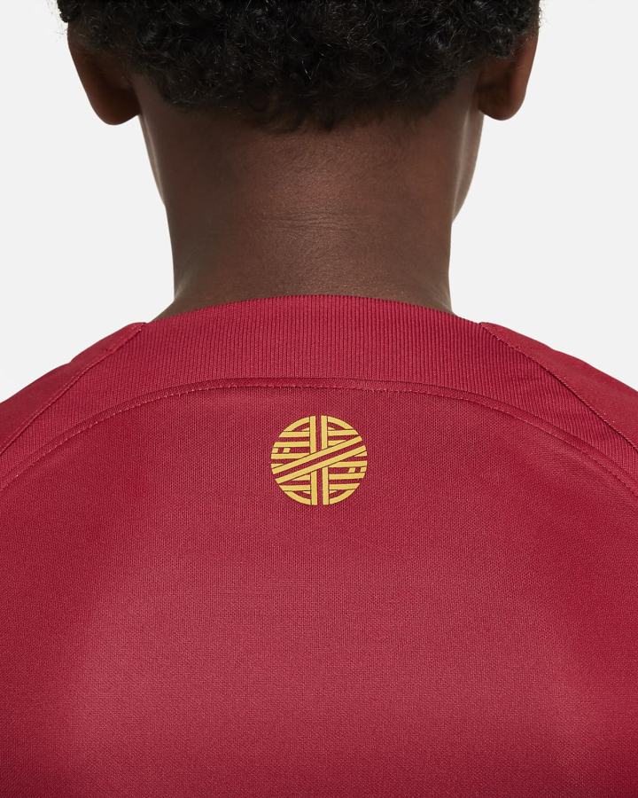 Jersey Nike Portugal 2022/23 Stadium Home Kids Dri-FIT Soccer Niño Rojas Doradas | CYNIW-6895