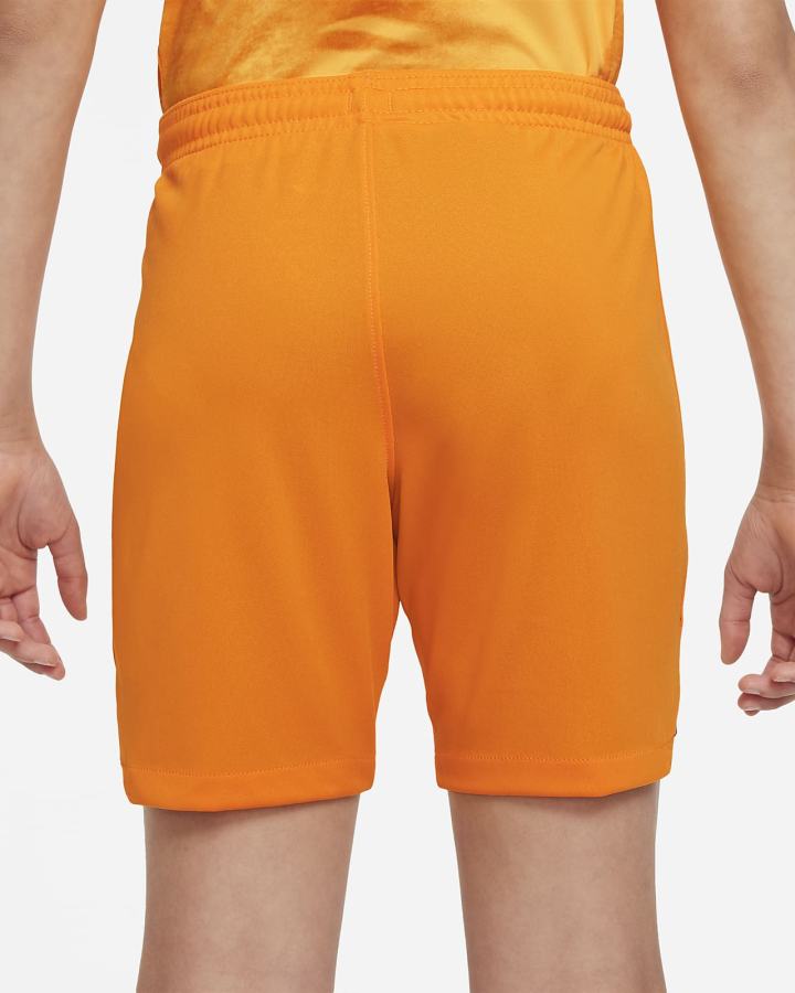 Pantalones Cortos Nike Netherlands 2022/23 Stadium Home Kids Dri-FIT Soccer Niño Naranjas Negras | TXNPI-7613