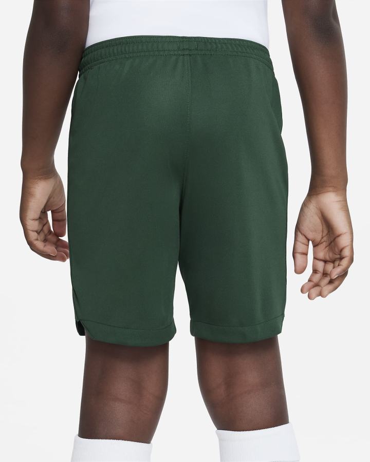 Pantalones Cortos Nike Nigeria 2022/23 Stadium Home/Away Kids Dri-FIT Soccer Niño Verde Blancas | ILJMC-7908