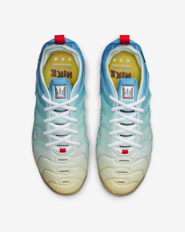 Zapatillas Nike Air VaporMax Plus Mujer Verde Menta Blancas Azules Metal Plateadas | BQPDI-6412