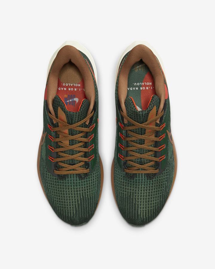 Zapatillas Running Nike Air Zoom Pegasus 39 A.I.R. Hola Lou Road Hombre Verde Naranjas Marrones | GVLNJ-8623