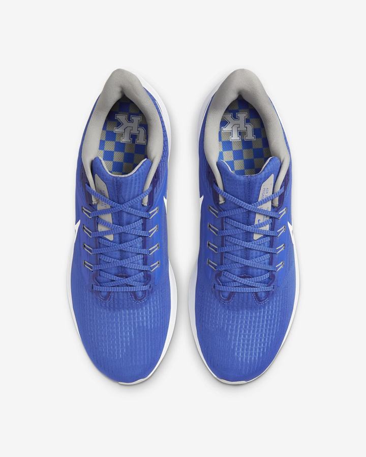 Zapatillas Running Nike Air Zoom Pegasus 39 (Clemson) Road Hombre Azul Real Azules Gris Blancas | MGHSY-8326