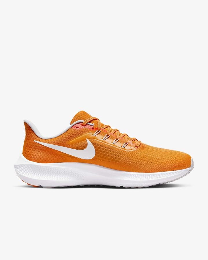 Zapatillas Running Nike Air Zoom Pegasus 39 (Clemson) Road Hombre Azules Gris Blancas | QJEWX-6018