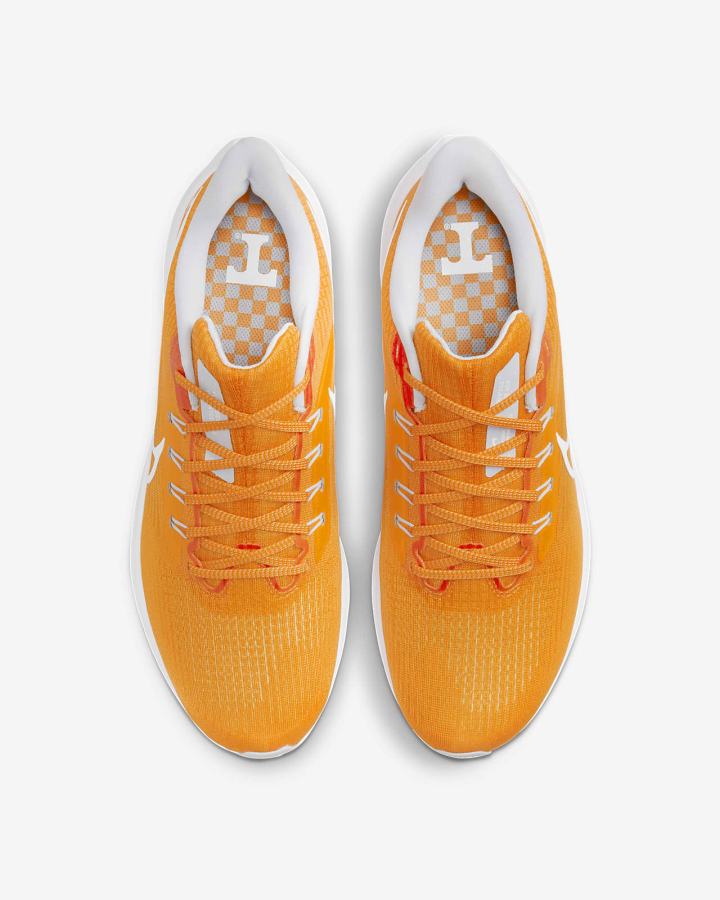 Zapatillas Running Nike Air Zoom Pegasus 39 (Clemson) Road Hombre Azules Gris Blancas | QJEWX-6018