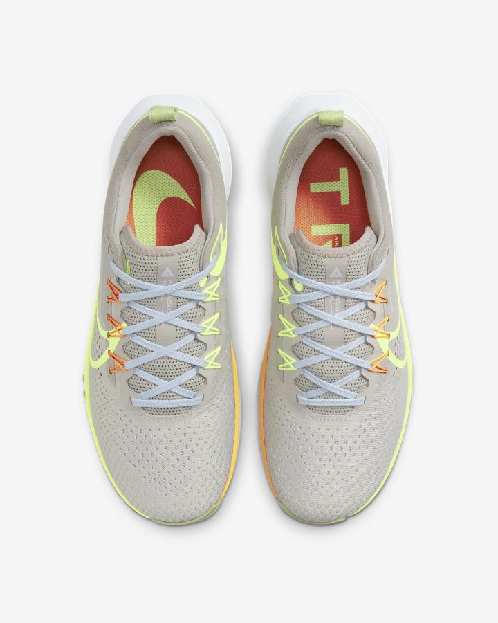 Zapatillas Running Nike React Pegasus Trail 4 Trail Hombre Gris | NTCVQ-7649