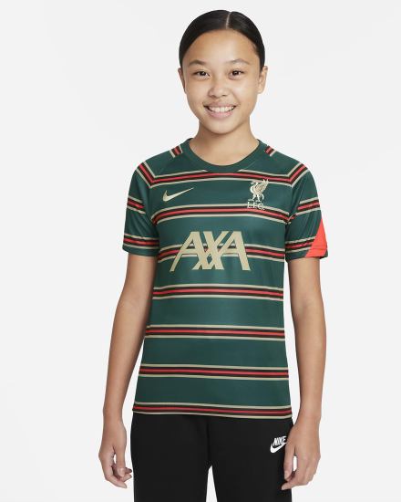 Camiseta Nike Liverpool FC Kids Pre-Match Short-Sleeve Soccer Top Niña Turquesa Oscuro Rojas Claro Gris | WUBKY-1243