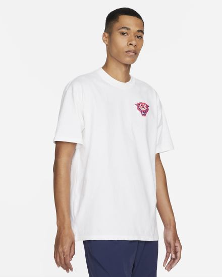 Camiseta Nike SB Skate Hombre Blancas | ETVUI-4312